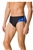 St. Pius High School Brief